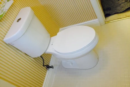 Toilet Repair Service